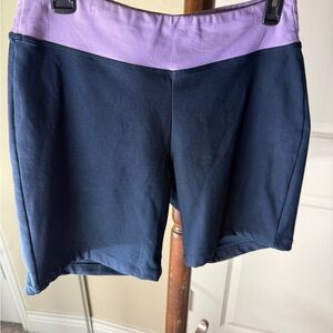 EUC Nike Blue and Purple Athletic Dry Fit Running Shorts